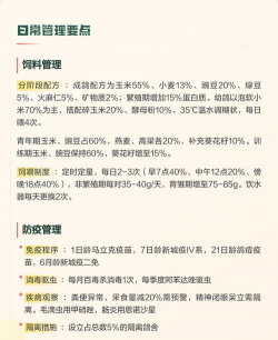 家里阳光不足怎么养花，选对植物种类，掌握养护技巧