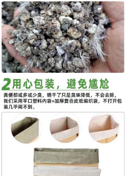 家里阳光不足怎么养花，选对植物种类，掌握养护技巧