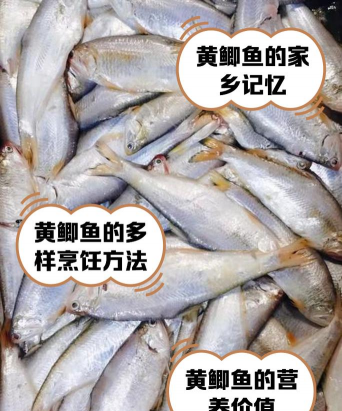 家里阳光不足怎么养花，选对植物种类，掌握养护技巧