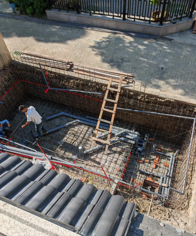 水宝宝养花的好处，提升观赏性，改善家居氛围