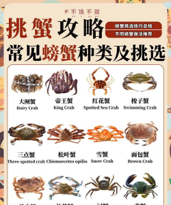 蟹的养殖，技术要点，常见问题