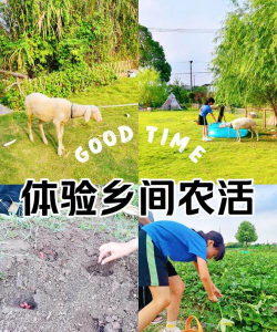 家庭养殖农场,轻松上手,实现自给自足 家庭养殖农场,轻松上手,实现自给自足