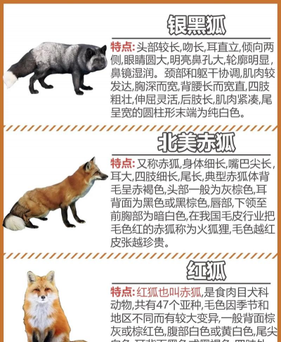 家里阳光不足怎么养花，选对植物种类，掌握养护技巧