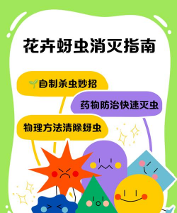 养花治慝虫，常见问题解析，实用方法分享