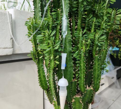 懒人养花神器，轻松打理花草，告别繁琐养护