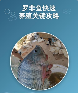 家里阳光不足怎么养花，选对植物种类，掌握养护技巧