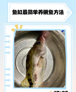 养花不好的人煞气多，养花常见问题，如何化解煞气