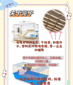 养花不好的人煞气多，养花常见问题，如何化解煞气