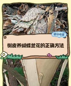 家里阳光不足怎么养花，选对植物种类，掌握养护技巧