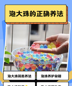 泡大珠怎么养花，使用技巧，常见问题解答