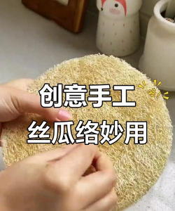 家里阳光不足怎么养花，选对植物种类，掌握养护技巧