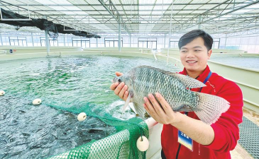 家里阳光不足怎么养花，选对植物种类，掌握养护技巧