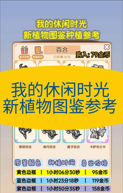 家里阳光不足怎么养花，选对植物种类，掌握养护技巧