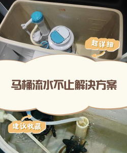 家里阳光不足怎么养花，选对植物种类，掌握养护技巧