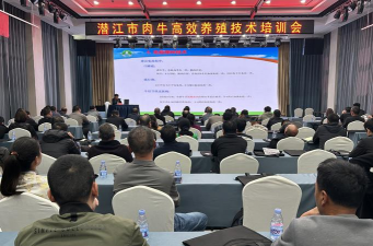 家里阳光不足怎么养花，选对植物种类，掌握养护技巧