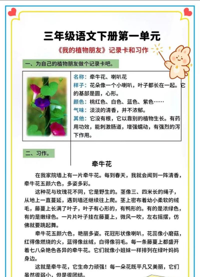 家里阳光不足怎么养花，选对植物种类，掌握养护技巧