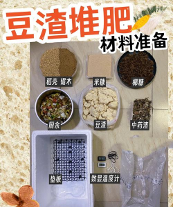 家里阳光不足怎么养花，选对植物种类，掌握养护技巧