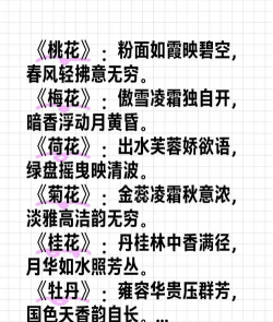 养花的心情诗词,感受自然之美,抒发内心情感 养花的心情诗词,感受自然之美,抒发内心情感