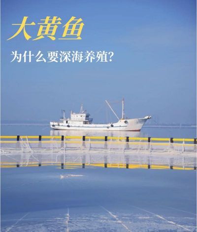 海上养殖，发展前景广阔，技术要点解析