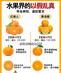 爱媛有几个品种