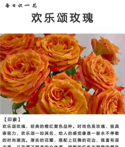 小众送妈妈的花有哪些花