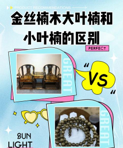 大叶金丝楠木和小叶金丝楠木区别