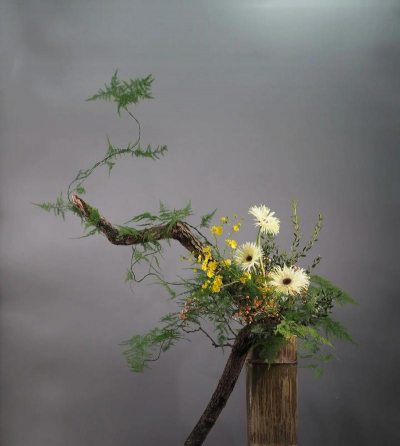 小众送妈妈的花有哪些花