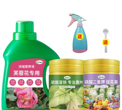 小众送妈妈的花有哪些花