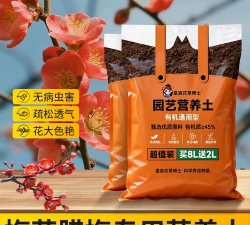 小众送妈妈的花有哪些花