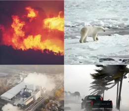 小众送妈妈的花有哪些花