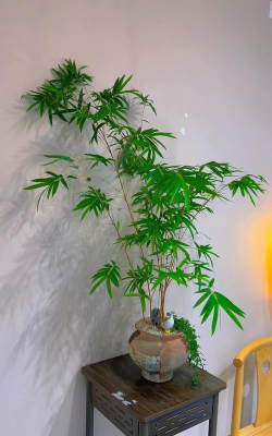 小众送妈妈的花有哪些花