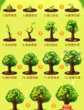 小众送妈妈的花有哪些花