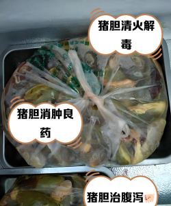 猪胆的正确吃法