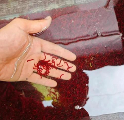 小众送妈妈的花有哪些花