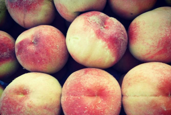 比突围桃还好的桃品种