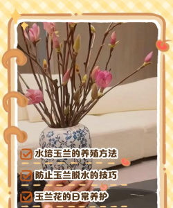 小众送妈妈的花有哪些花