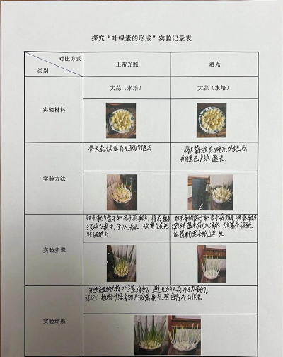 光对绿色植物的生活有什么影响