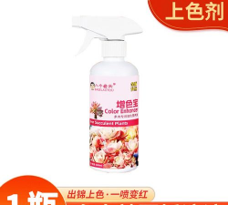 小众送妈妈的花有哪些花