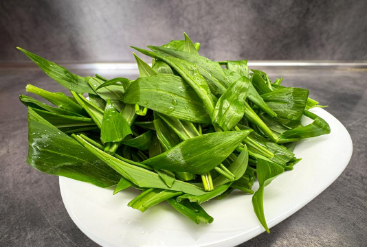 通菜是空心菜吗