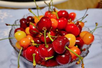 小众送妈妈的花有哪些花