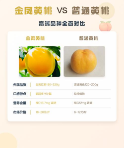 金凤黄桃品种介绍