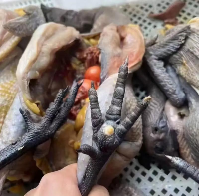 小众送妈妈的花有哪些花