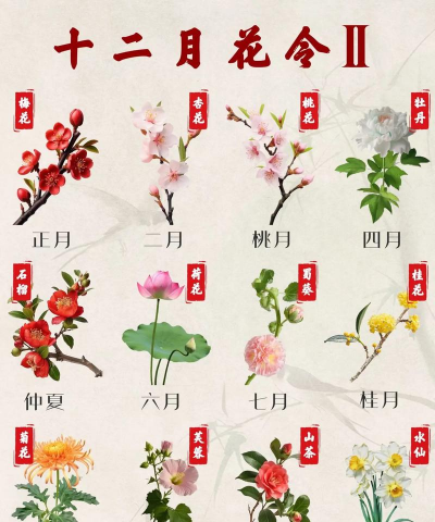 小众送妈妈的花有哪些花