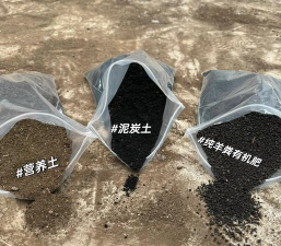 小众送妈妈的花有哪些花