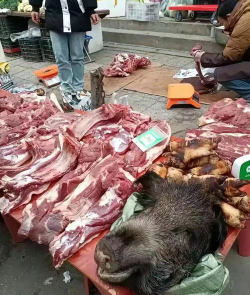 小众送妈妈的花有哪些花