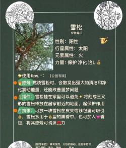 雪松的作用