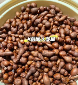 小众送妈妈的花有哪些花