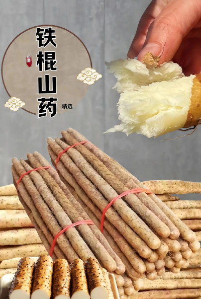 山药是什么