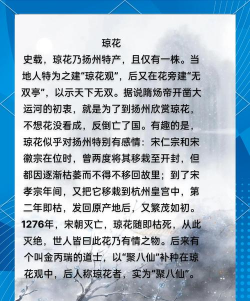 小众送妈妈的花有哪些花