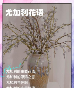 小众送妈妈的花有哪些花